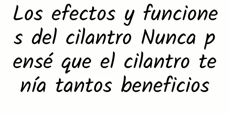 Los efectos y funciones del cilantro Nunca pensé que el cilantro tenía tantos beneficios