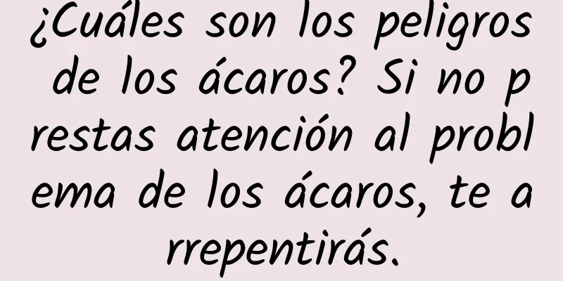 ¿Cuáles son los peligros de los ácaros? Si no prestas atención al problema de los ácaros, te arrepentirás.