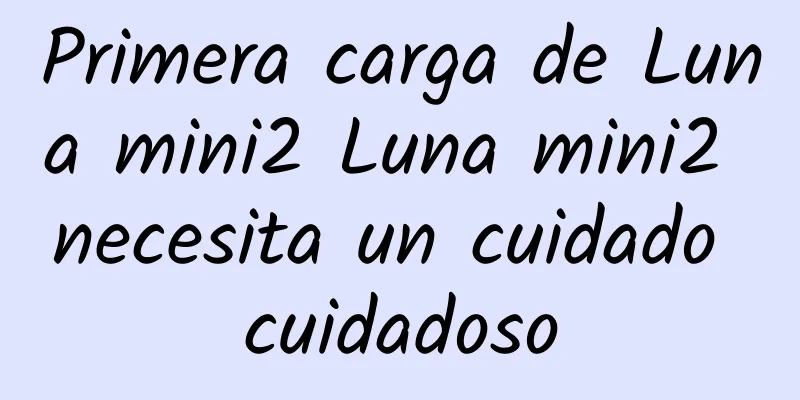 Primera carga de Luna mini2 Luna mini2 necesita un cuidado cuidadoso