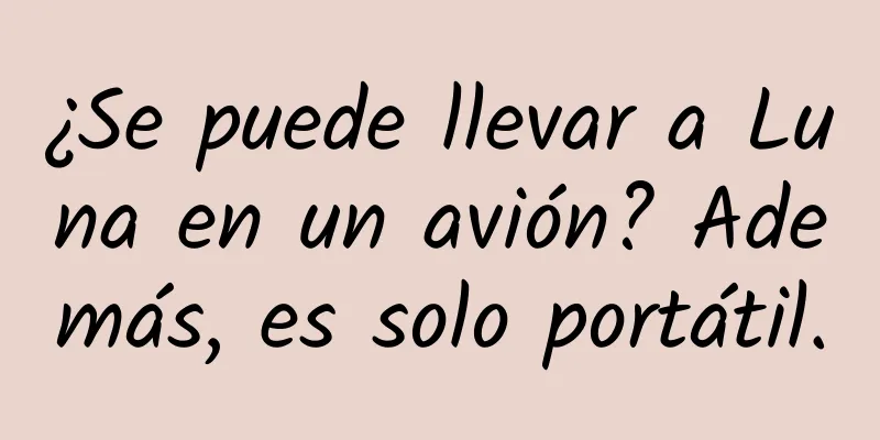 ¿Se puede llevar a Luna en un avión? Además, es solo portátil.