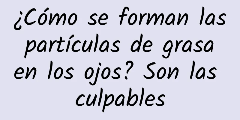 ¿Cómo se forman las partículas de grasa en los ojos? Son las culpables