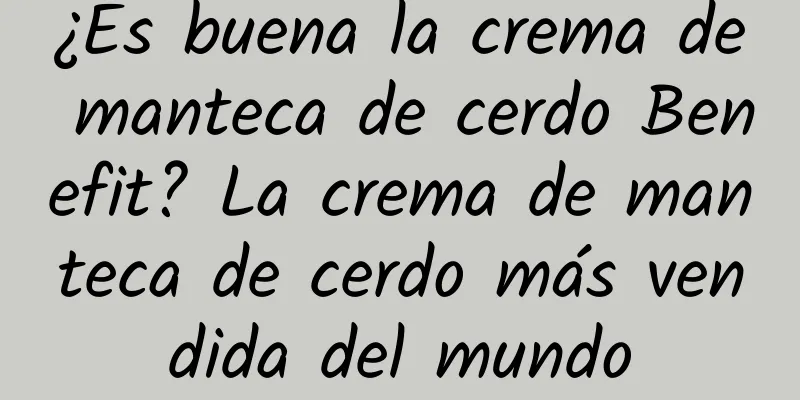 ¿Es buena la crema de manteca de cerdo Benefit? La crema de manteca de cerdo más vendida del mundo