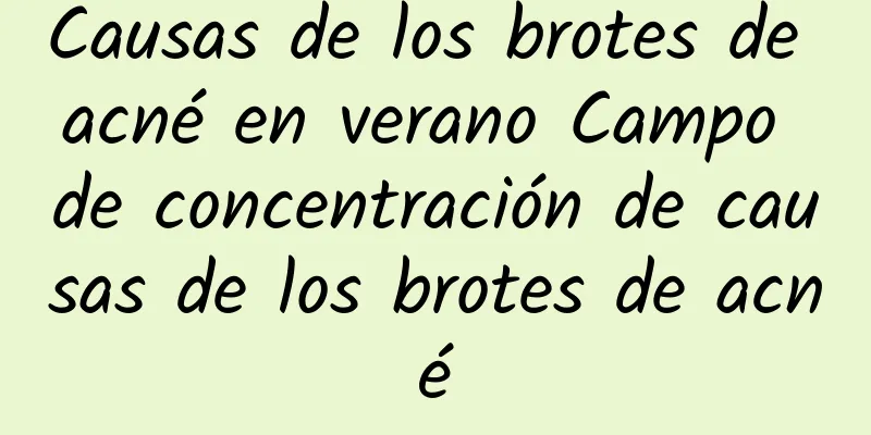 Causas de los brotes de acné en verano Campo de concentración de causas de los brotes de acné