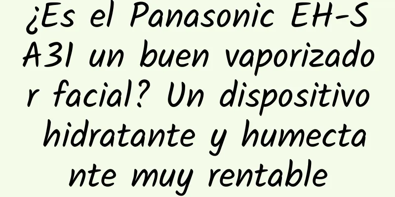 ¿Es el Panasonic EH-SA31 un buen vaporizador facial? Un dispositivo hidratante y humectante muy rentable